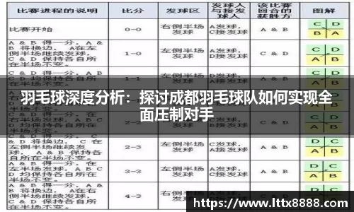 羽毛球深度分析：探讨成都羽毛球队如何实现全面压制对手